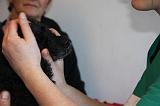 AUSCULTATION 048